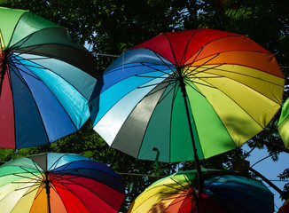 Canvas Print - Low angle shot of rainbow umbrellas on background of trees