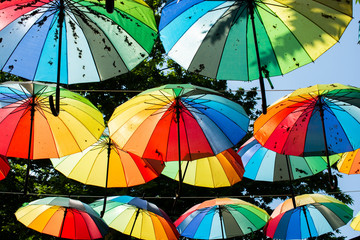 Wall Mural - Low angle shot of rainbow umbrellas on background of trees