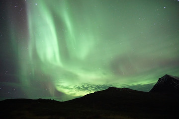 Wall Mural - Breathtaking view of green polar lights