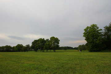 Wall Mural - Beautiful shot of a green meadow with some trees