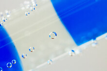 Water Hole And Vegetation With Mist Free Stock Photo - Public Domain Pictures