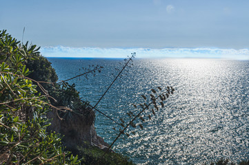 Poster - Beautiful shot of a sunny coastline