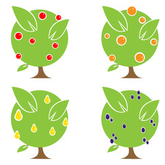 Wall Mural - Illustration of Four Fruit Trees