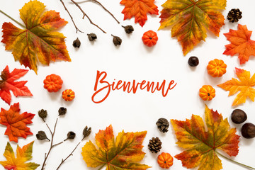 Wall Mural - Bright Colorful Autumn Leaf Decoration, French Text Bienvenue Means Welcome