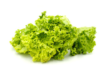 green leaf lettuce