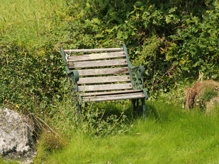 Sticker - Small wooden park bench in a park surrounded by green grass and trees during daylight