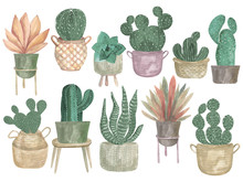 Watercolor Illustration Of A Collection Of Cacti In Pots Boho Decor Modern Indoor Plants