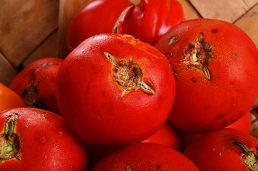 Rotten many red tomato. Tomatoes damaged by pest. Mold on vegetables. 