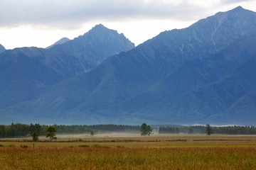 Wall Mural - swamp and fog on the background of high mountains