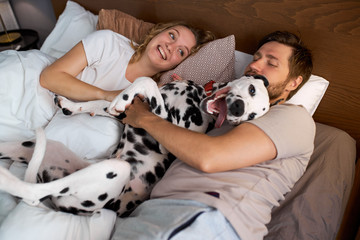 married caucasian couple have fun with dog at home on bed, they laugh, hug their beautiful dalmatian dog