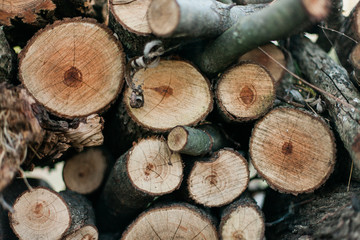 Firewood Pile