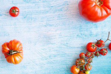 Variety of red tomatoes on a blue background with copy space