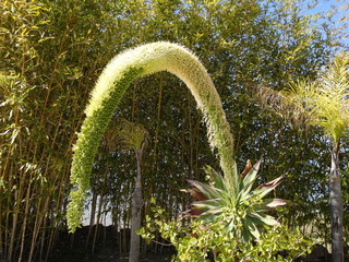 La naturaleza es belleza.