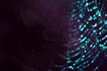 glow blue blur and bokeh abstract and art of cobweb