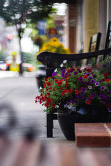 Poster - Pot of flowers next to bench on sidewalk in Manassas, VA