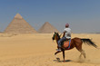 Horse rider in Giza Pyramids in Cairo - Egypt