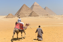 Camel Rides In Giza Pyramids In Cairo - Egypt