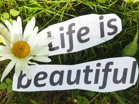 English proverb. expression. Life is beautiful.