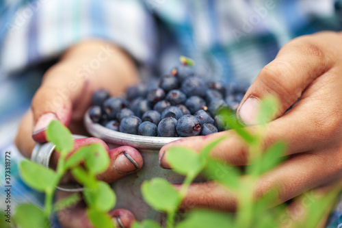 Cuadros en Lienzo Kid hand holding bowl of freshly picked wild blueberries against bokeh green forest background
