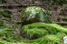 Closeup Shot Of Mossy Rocks In The Forest