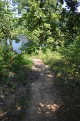 Wall Mural - Hiking Trail