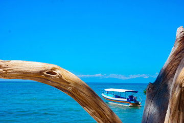 Canvas Print - Empty boat in the sea behind the wood pieces