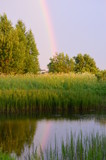 Fototapeta Tęcza - The rainbow is reflected in the water of the pond