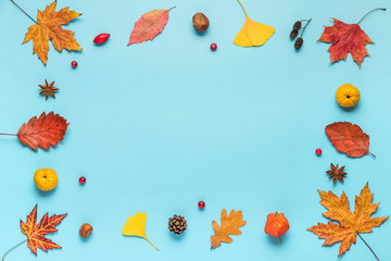 autumn composition. frame made of fall leaves, flowers, berries, nuts on blue background. flat lay w