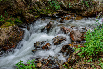 Sticker - waterfall in the forest