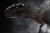 Fototapeta  - Dinosaur, Tyrannosaurus Rex on dark background