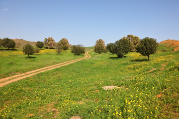 Canvas Print -  The rural footpath