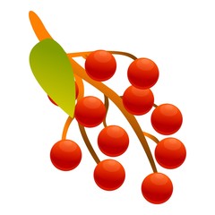 Poster - Rowan flora icon. Cartoon of rowan flora vector icon for web design isolated on white background