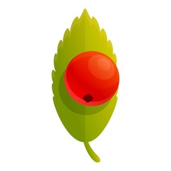Poster - Rowan berry icon. Cartoon of rowan berry vector icon for web design isolated on white background