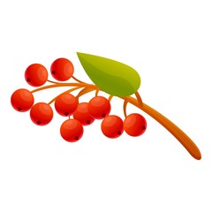 Poster - Rowan food icon. Cartoon of rowan food vector icon for web design isolated on white background