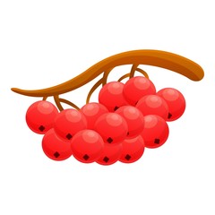 Poster - Red rowan icon. Cartoon of red rowan vector icon for web design isolated on white background