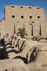 Wall Mural - Great Hypostyle Hall and clouds at the Temples of Karnak