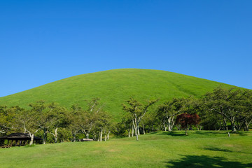 Poster - 静岡県伊東市の大室山