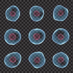 realistic human cells set isolated on transparent background. 3d elements for science, medicine, bio