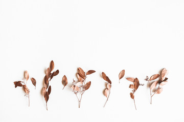 Wall Mural - Autumn composition. Eucalyptus leaves on white background. Autumn, fall concept. Flat lay, top view