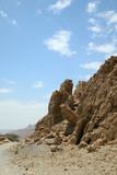Fototapeta Sawanna - Ein Gedi National Park. Oasis of the Judean Desert.
