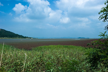 Canvas Print - Thr landscape of green field and agtated torpedo.