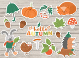 Fototapeta Boho - Vector autumn sticker pack. Cute fall season icons set for prints, badges.  Funny illustration of forest animals, pumpkins, mushrooms, leaves, harvest, vegetables, birds .