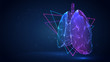 vector 3d lungs made of triangular polygons