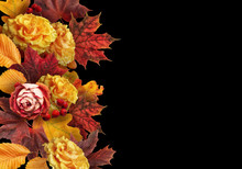 Fall Floral Banner, Header With Copy Space. Bouquets Of Autumn Flowers. Roses, Yellow Oak And Red Maple Leaves Isolated On Black Background.