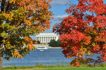 Wall Mural - Autumn in Washington DC - A view of Lincoln Memorial as seen among the trees in fall foliage