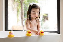 Toddler Girl Playing With Rubber Ducks In Bathtub