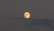 August Orange Full Moon Hides Behind Blue Clouds Background, Texture.