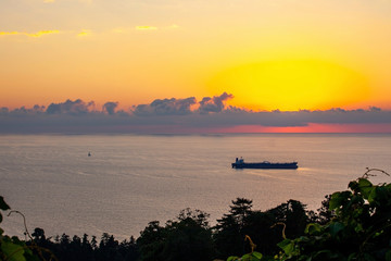 Wall Mural - Beautiful view of Batumi from a hill at sunset. Landscape