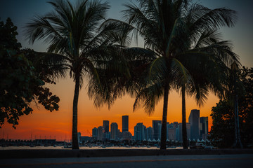 Wall Mural - sunset in the city Miami Florida palms tree downtown  