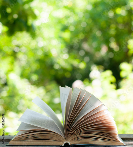 Obraz Dibond open book on the nature background